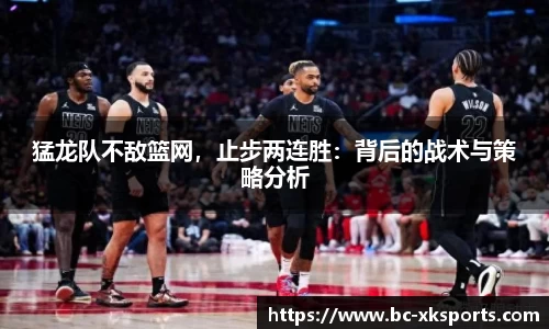 猛龙队不敌篮网，止步两连胜：背后的战术与策略分析